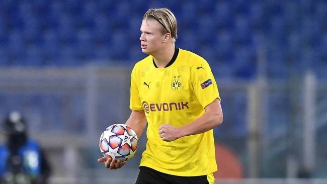 【壁纸】——拉菲尼亚 & 德容（拉菲尼亚与德容壁纸精选）